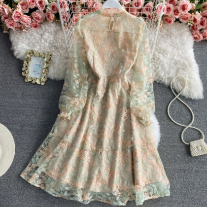 Luxury Mesh Lace Embroidered Dress