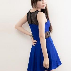 Blue Gauze Design Sleeveless Skater Dress
