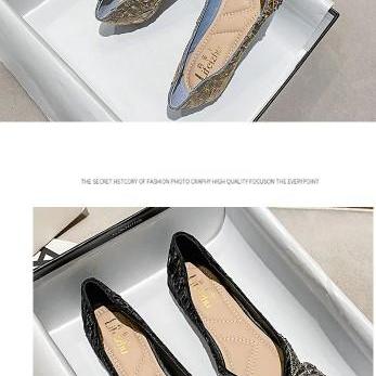 Elegant Pointed Toe Women Flat Fashion Shoes