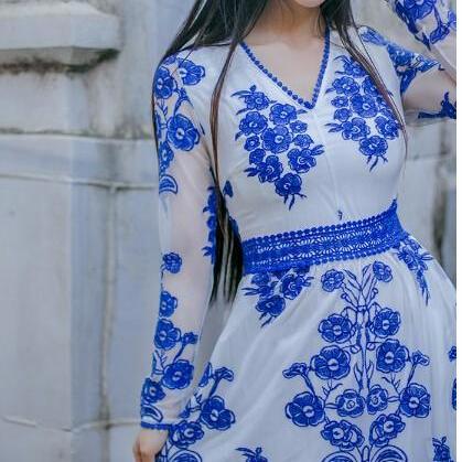 Elegant Deep V Collar Embroidery Blue And White..