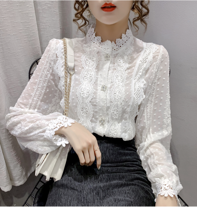 Elegant Lace Chiffon Shirt