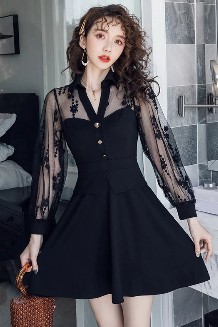 Sheer Lace Mesh Sleeve Black Party Dress