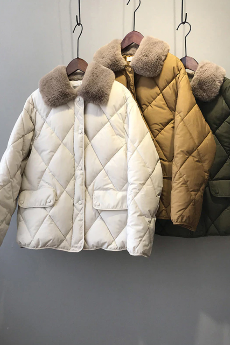 Winter Coat Long Sleeve Furry